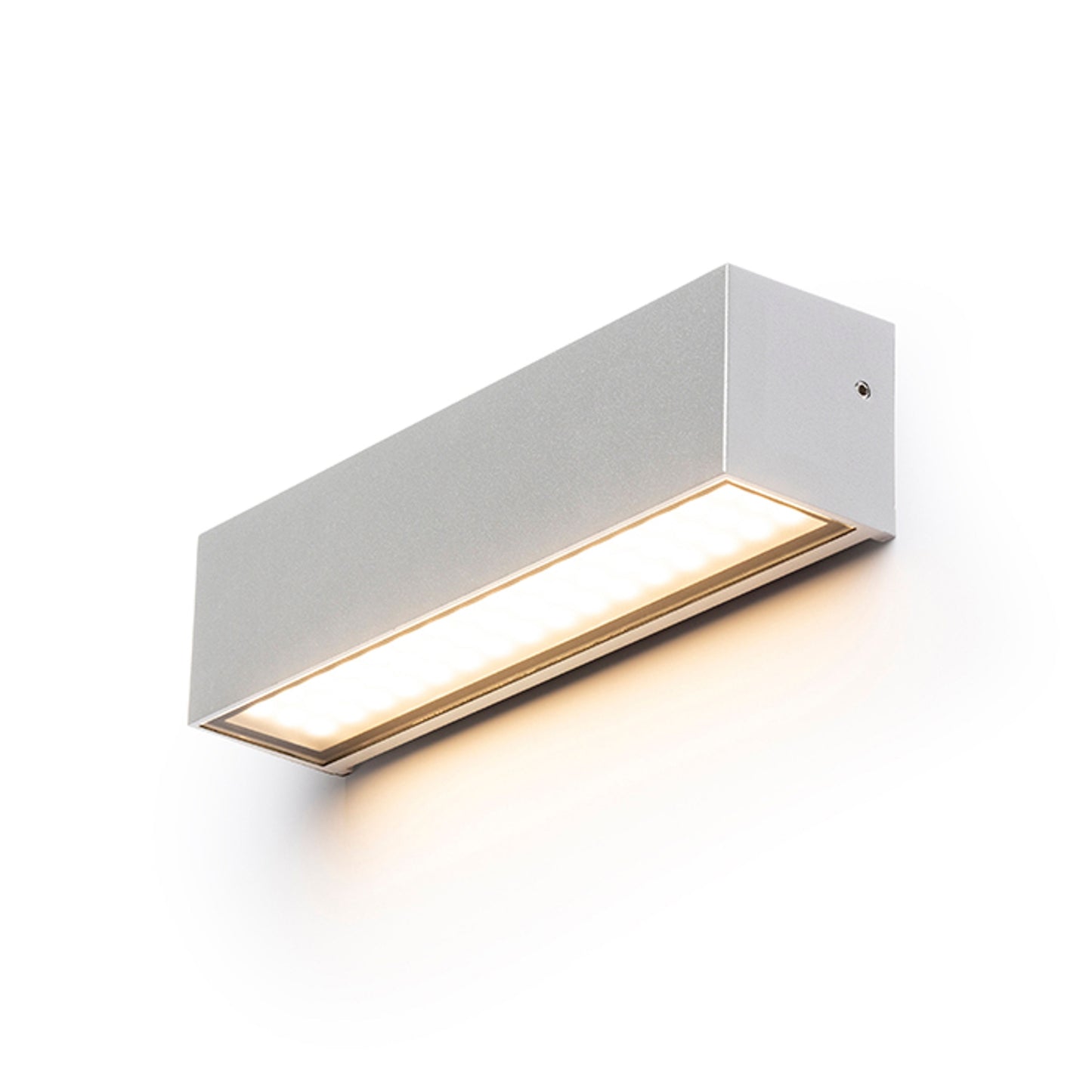RENDL outdoor lamp CAMARGUE wall silver grey satinated glass 230V LED 6W IP65 3000K R13527 1