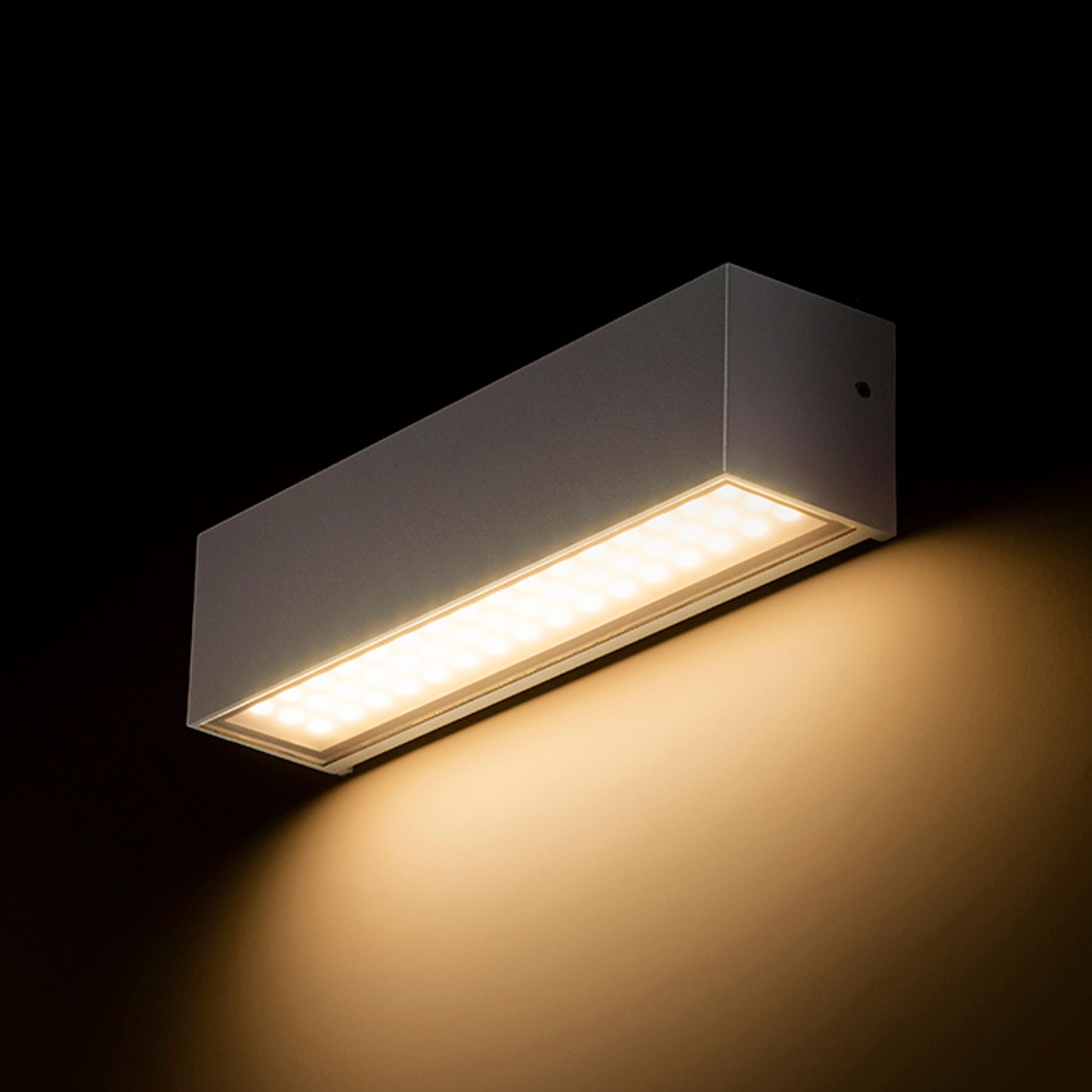 RENDL outdoor lamp CAMARGUE wall silver grey satinated glass 230V LED 6W IP65 3000K R13527 2