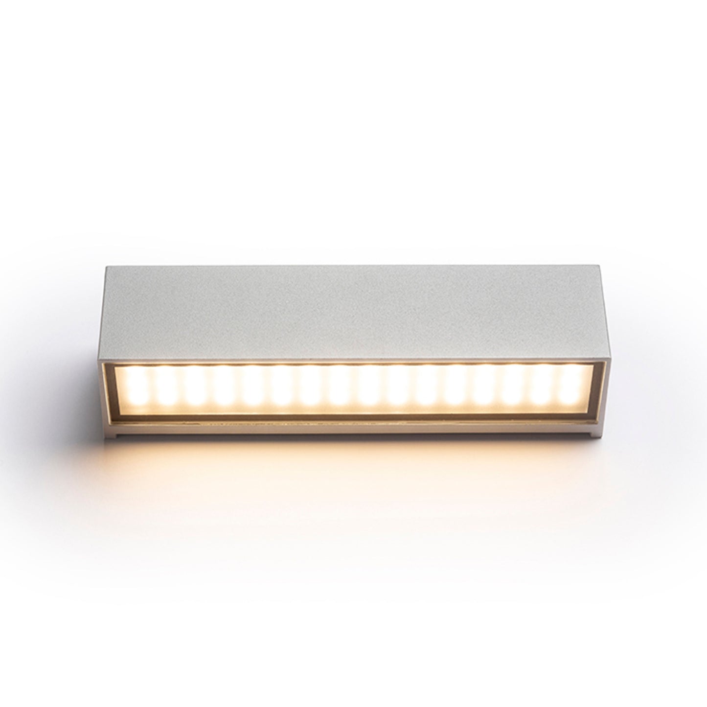 RENDL outdoor lamp CAMARGUE wall silver grey satinated glass 230V LED 6W IP65 3000K R13527 3