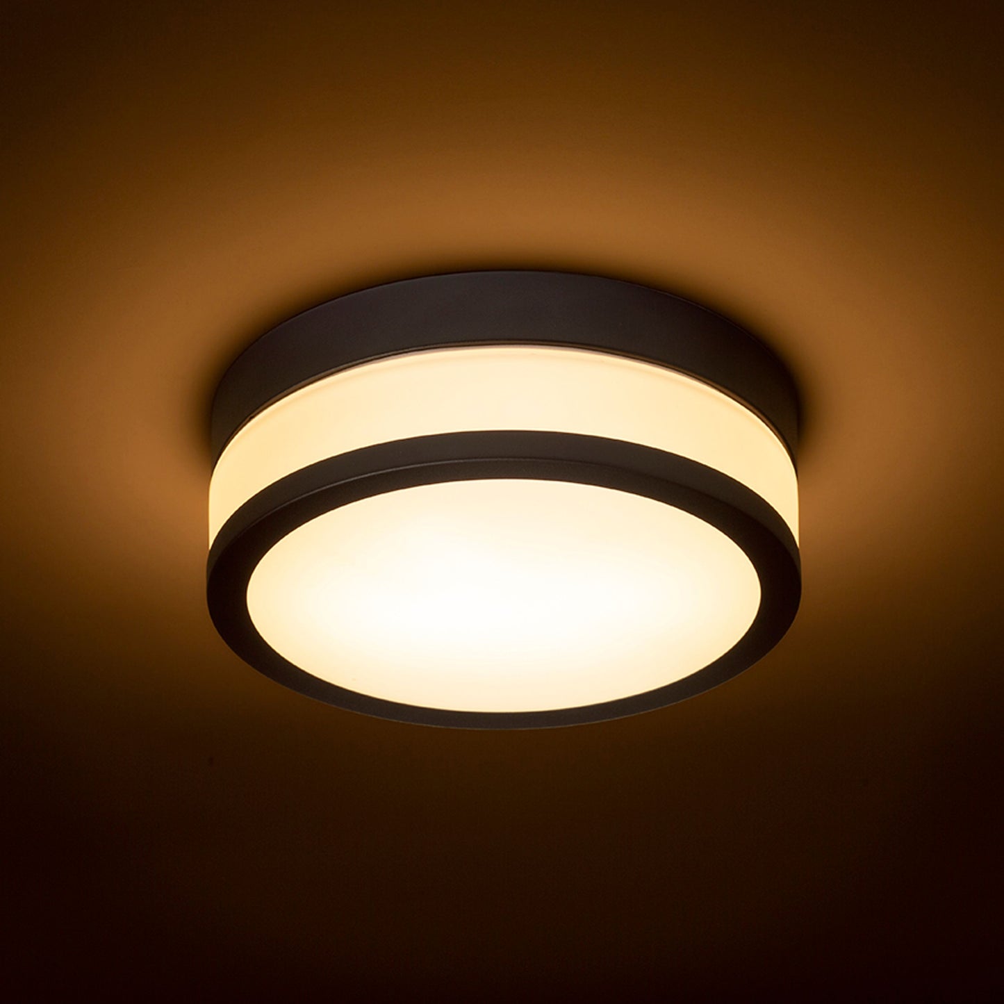 RENDL surface mounted lamp CIRA LED 23 ceiling opal-colored glass/black 230V LED 12W IP44 3000K R13680 3
