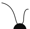 Systèmes de ceintures
