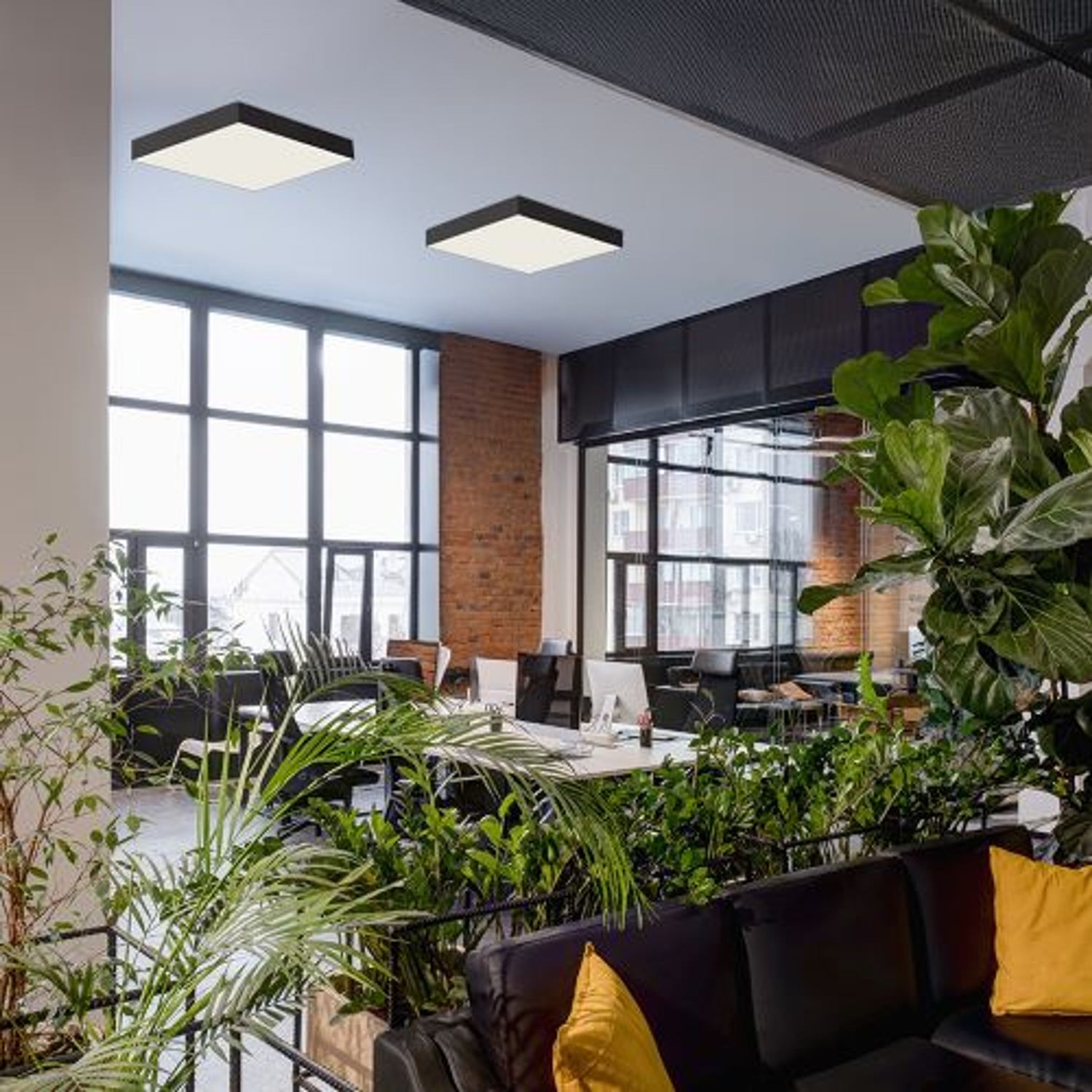 Plafonniers de salon