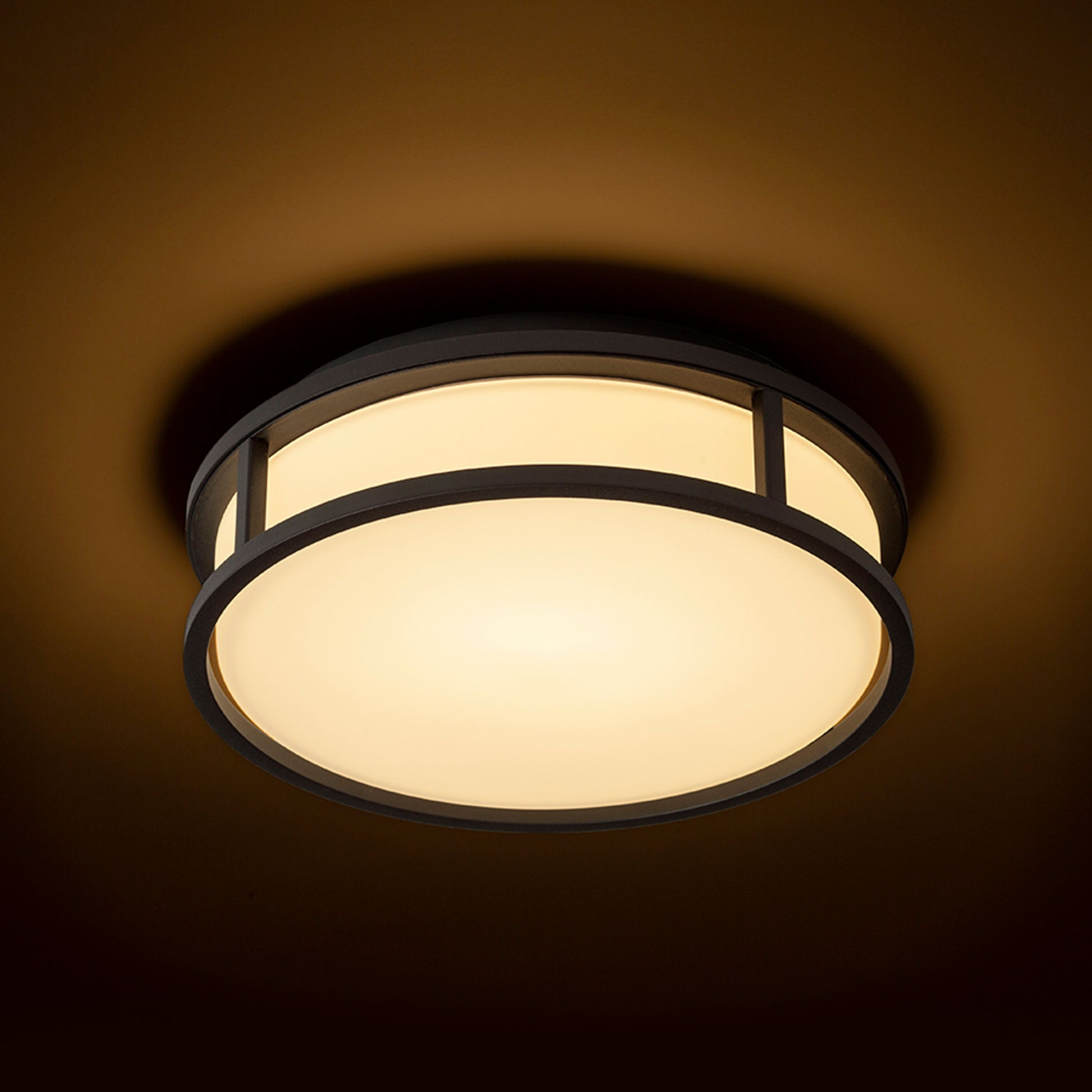 RENDL surface mounted lamp GRANDE LED 25 ceiling  opal-colored glass/black 230V LED 12W IP44  3000K R13677 3
