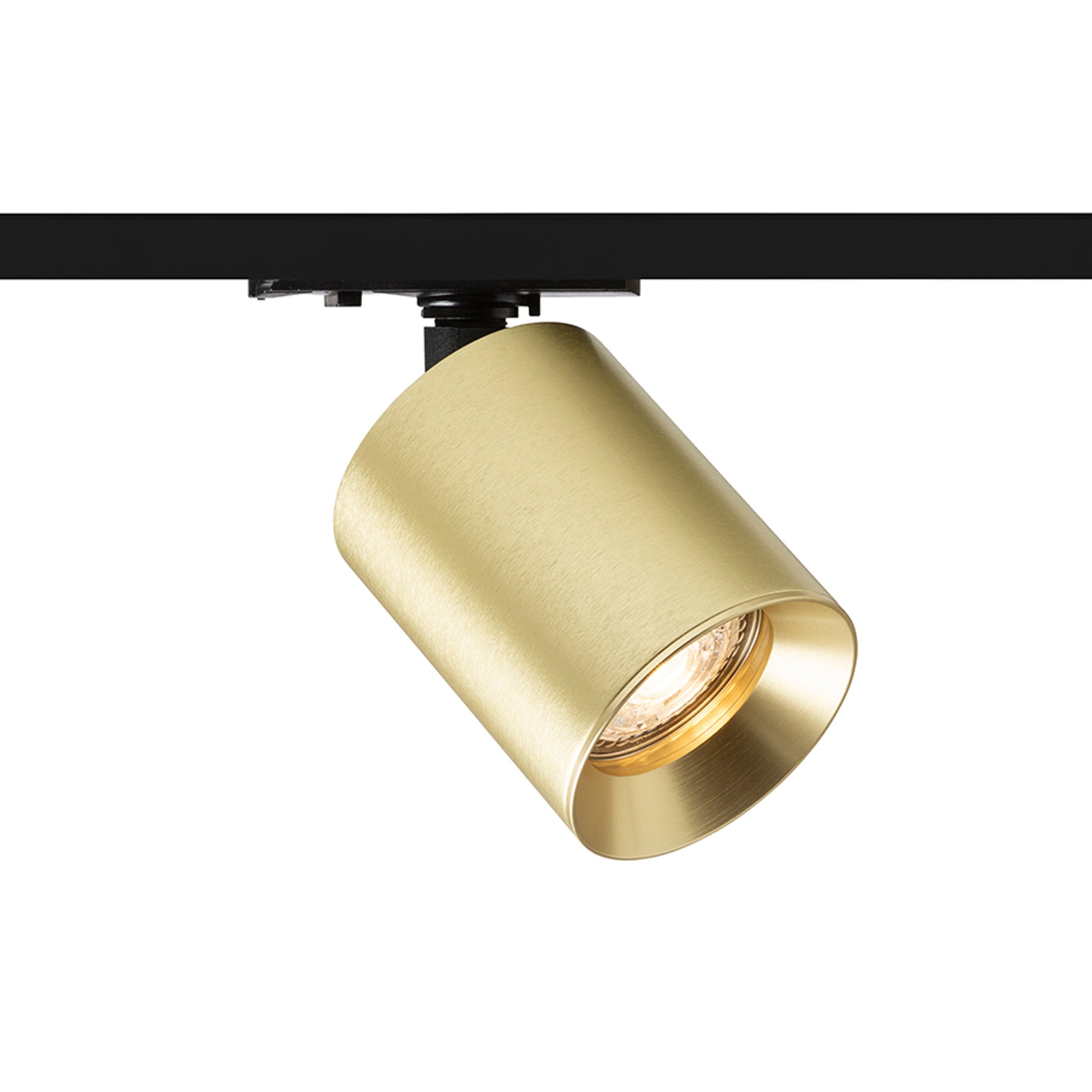 RENDL 1-circuit track system DARIO for 1-circuit tracks  brushed brass 230V LED GU10 9W R13872 1